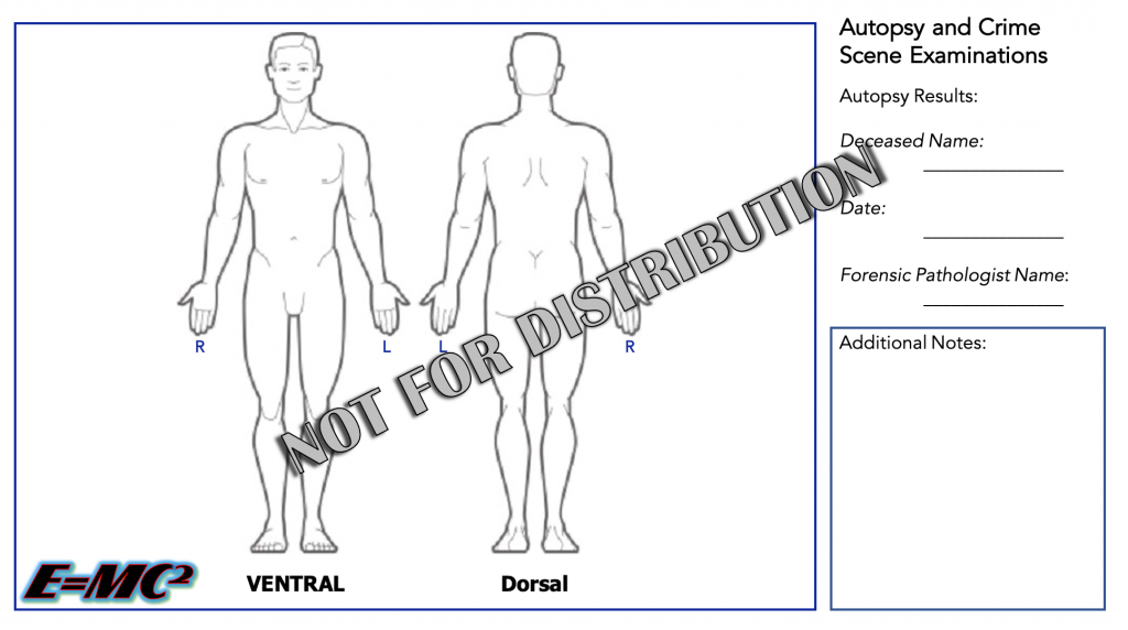 E=MC2 Anatomy Illustrations